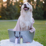 Natural Dog Shampoo - Lemongrass & Mint Black Sheep Organics