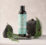 Natural Dog Shampoo - Pine & Fir Black Sheep Organics