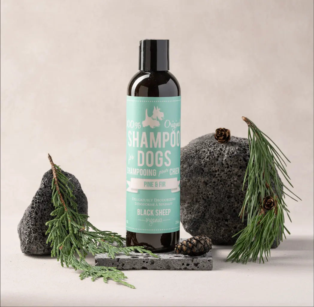 Natural Dog Shampoo - Pine & Fir Black Sheep Organics