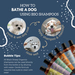 Natural Dog Shampoo - Pine & Fir Black Sheep Organics