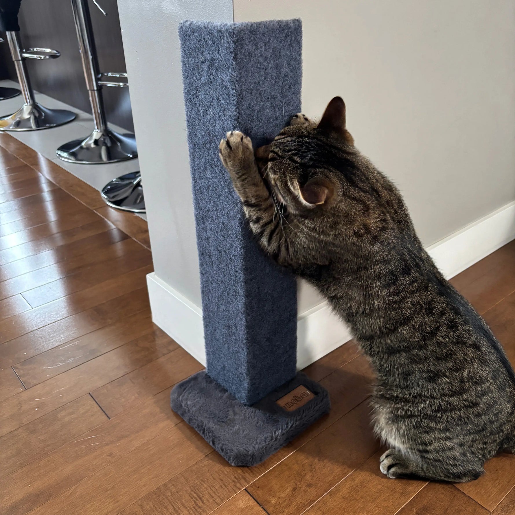 Noba Corner Cat Scratcher and Protector - 23 Inch Noba Animal Co.