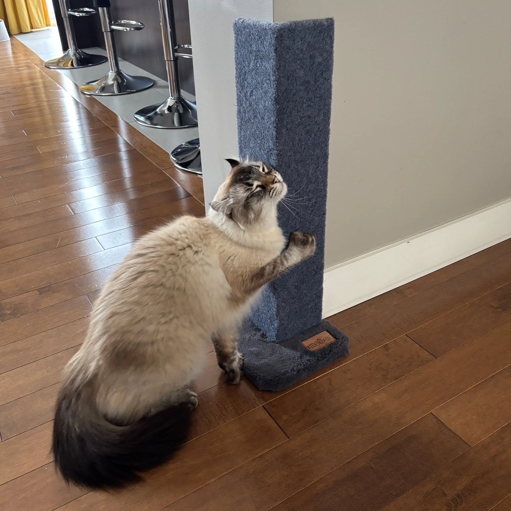 Noba Corner Cat Scratcher and Protector - 23 Inch Noba Animal Co.