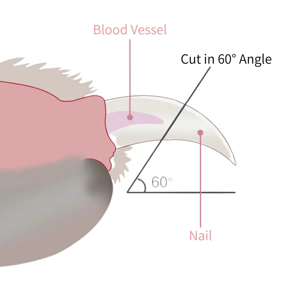 Noba LED Nail Clipper for Cats & Dogs Noba Animal Co.