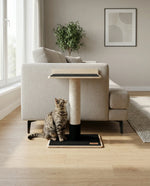 Noba Modern Plywood 1-Level Cat Tree Noba Animal Co.