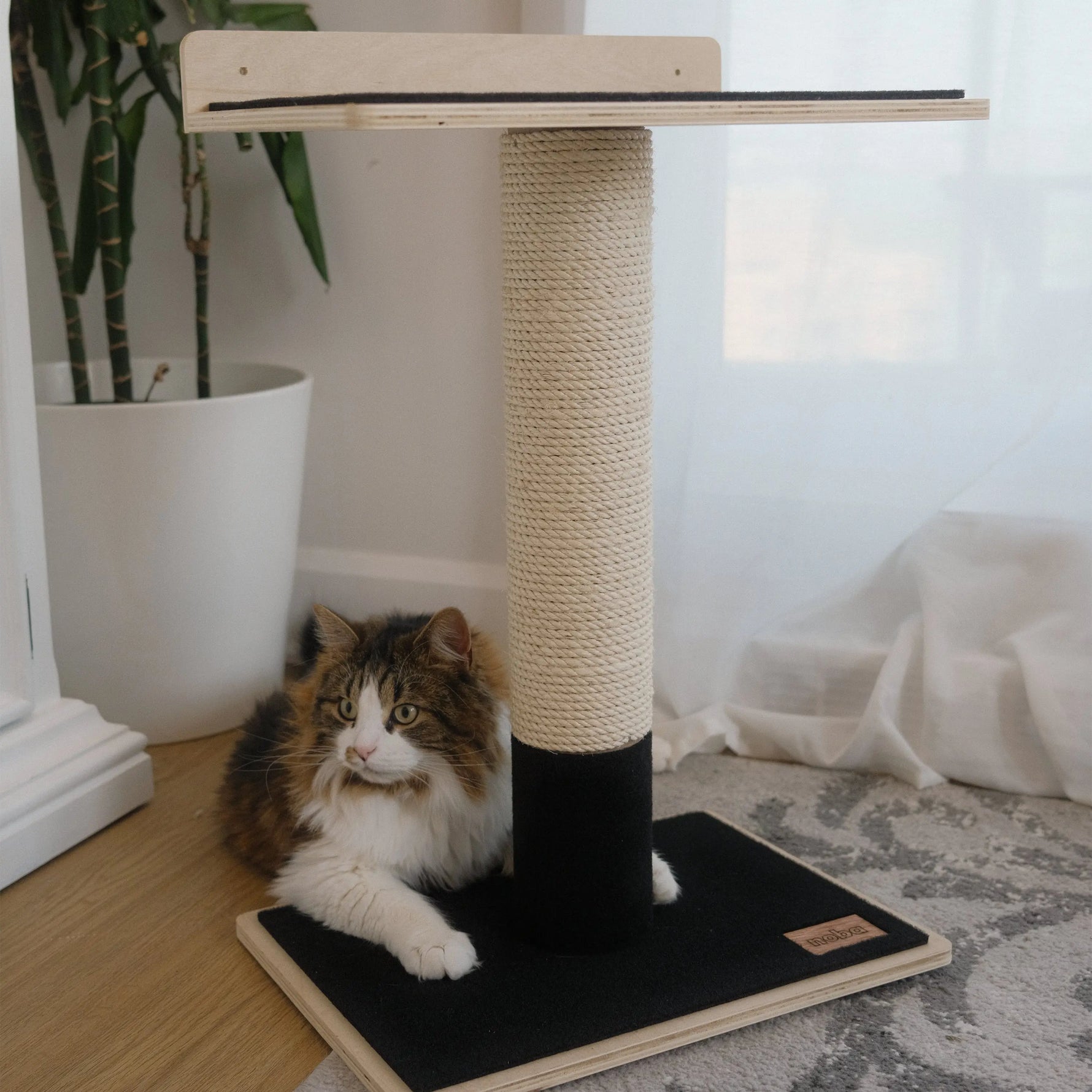Noba Modern Plywood 1-Level Cat Tree Noba Animal Co.
