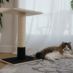 Noba Modern Plywood 1-Level Cat Tree Noba Animal Co.