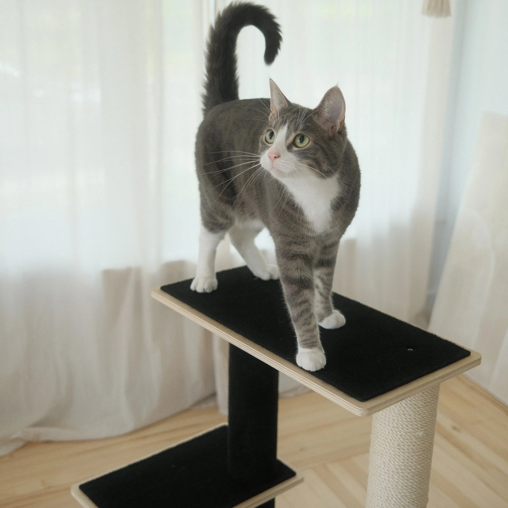 Noba Modern Plywood 2-Level Cat Tree Noba Animal Co.