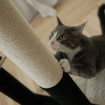 Noba Modern Plywood 2-Level Cat Tree Noba Animal Co.