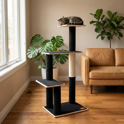 Noba Modern Plywood 3-Level Cat Tree Noba Animal Co.