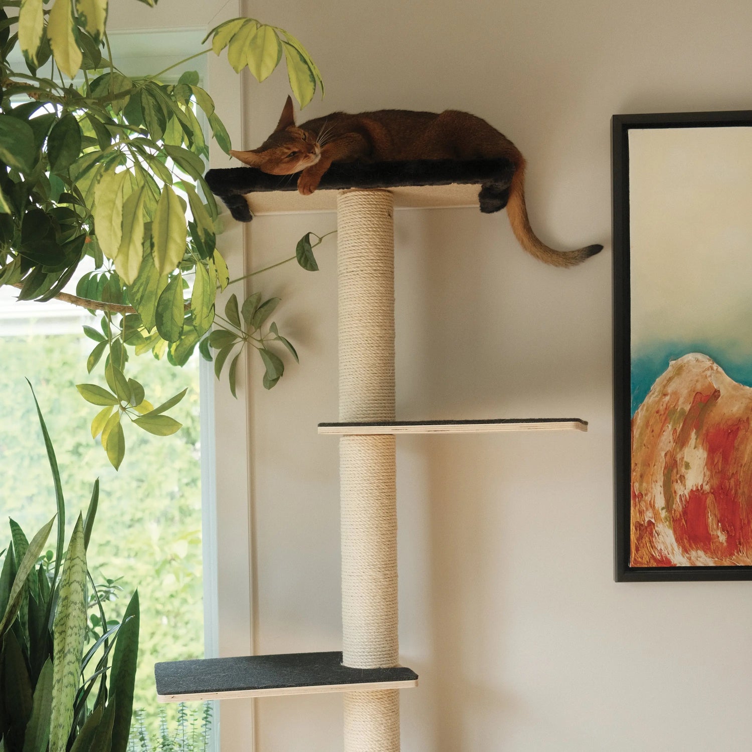 Noba Mural System Kit- The Vertical Playground Noba Animal Co.