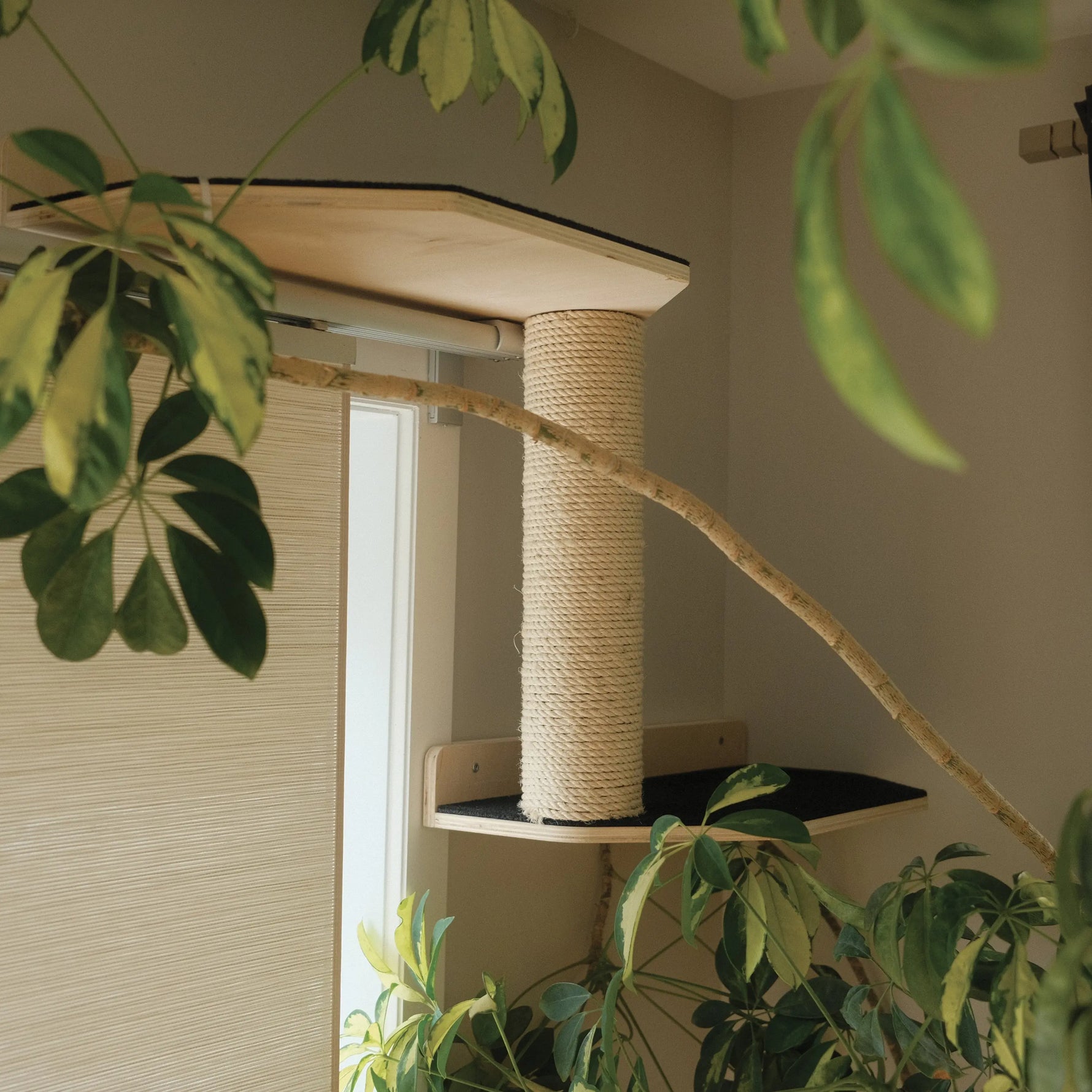 Noba Mural System Kit- The Vertical Playground Noba Animal Co.