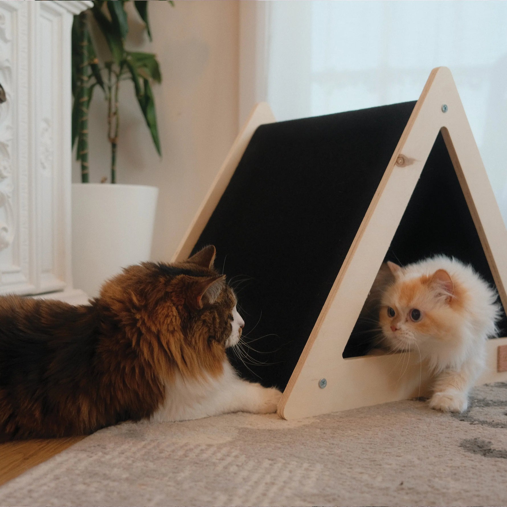 Noba Origin Scratchable Teepee Cat House Noba Animal Co.