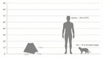 Noba Origin Scratchable Teepee Cat House Noba Animal Co.
