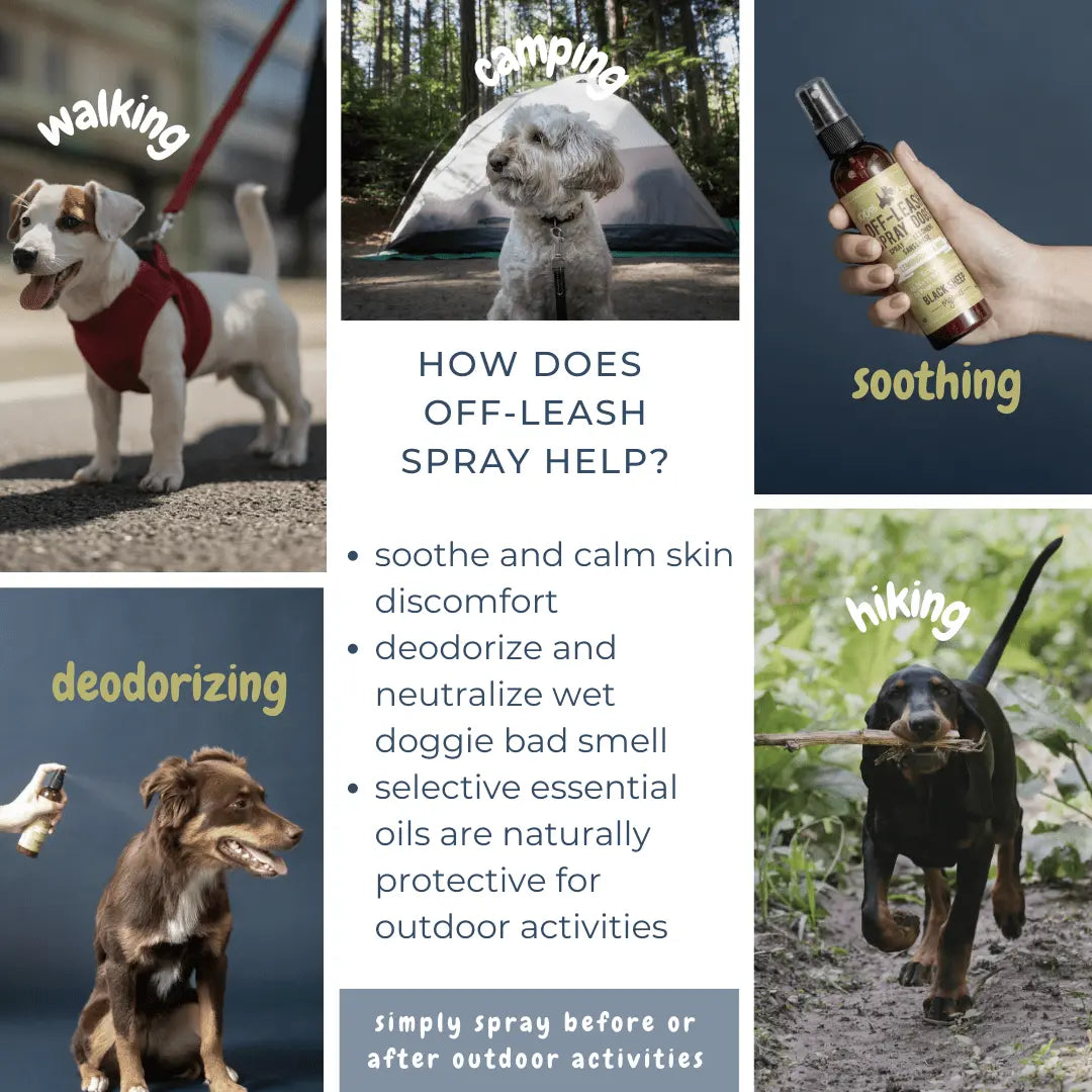 Off Leash Dog Spray – Itch Relief & Deodorizing Black Sheep Organics