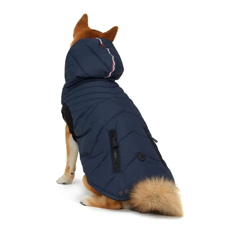 PAJAR - BIRCH - Inverted Hooded Coat For Dogs - PAWMART.ca