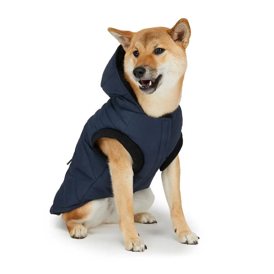 PAJAR - BIRCH - Inverted Hooded Coat For Dogs - PAWMART.ca