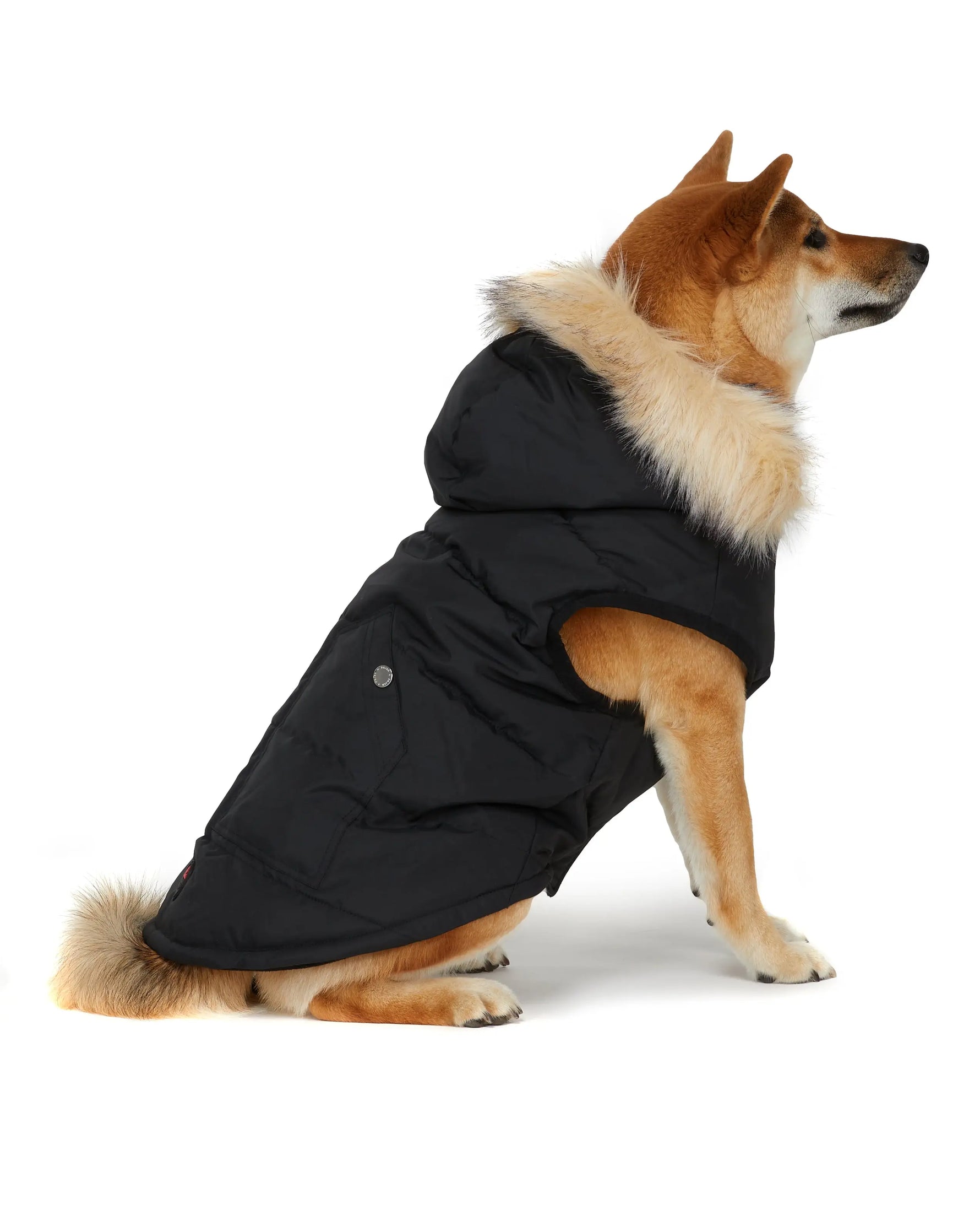 PAJAR - Barnard  - Hooded Coat For Dogs PAJAR