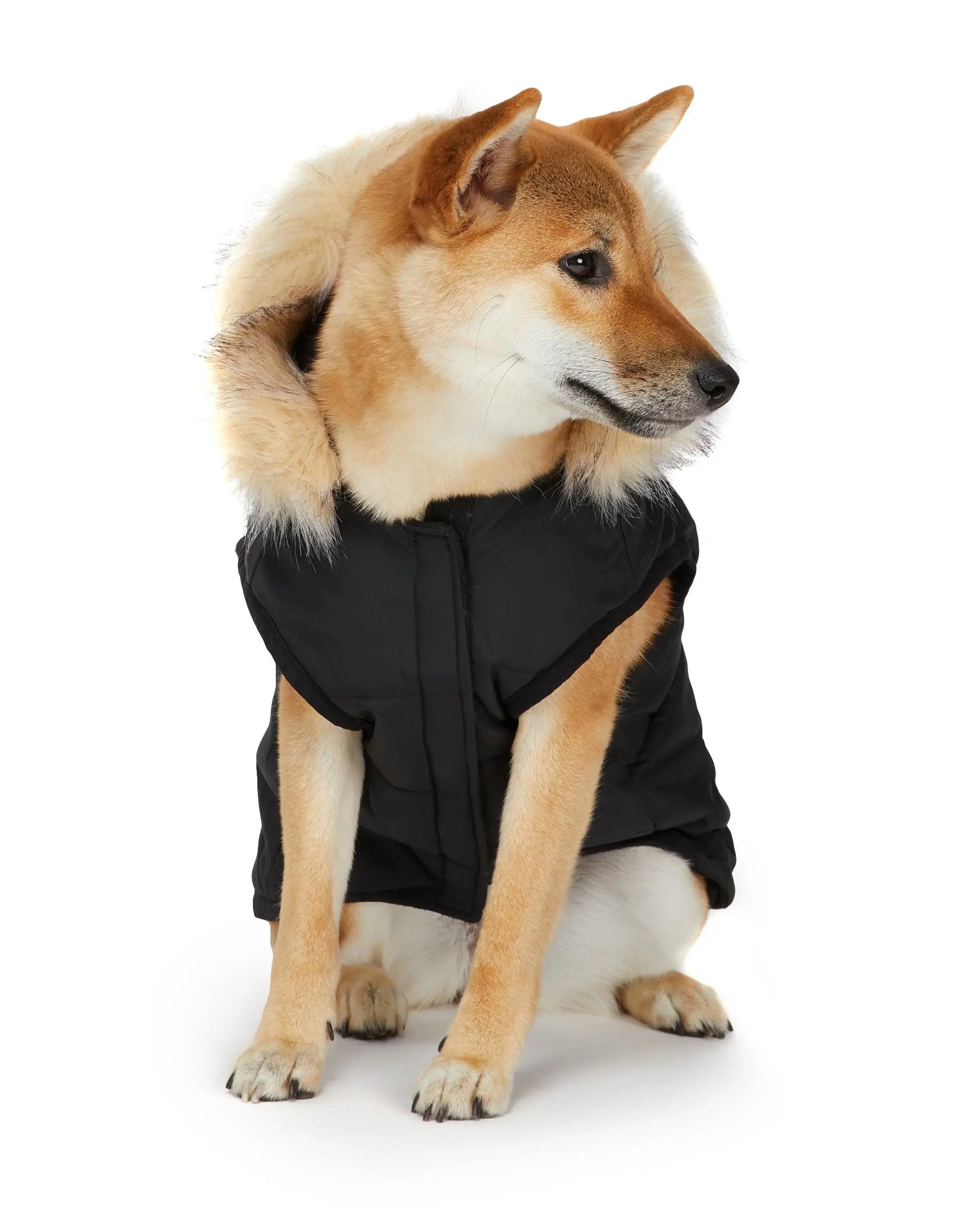 PAJAR - Barnard  - Hooded Coat For Dogs - PAWMART.ca