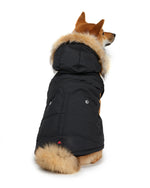 PAJAR - Barnard  - Hooded Coat For Dogs - PAWMART.ca