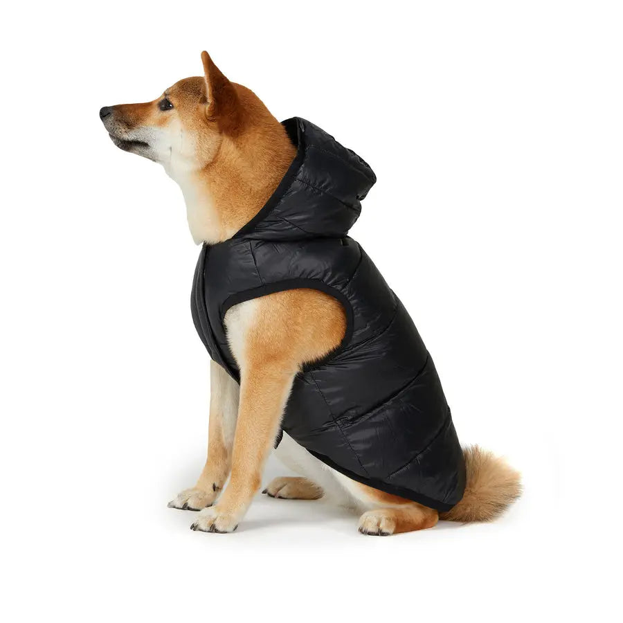 PAJAR - DUFF - Reversible Jacket & Hooded Coat For Dogs PAJAR