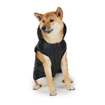 PAJAR - DUFF - Reversible Jacket & Hooded Coat For Dogs PAJAR