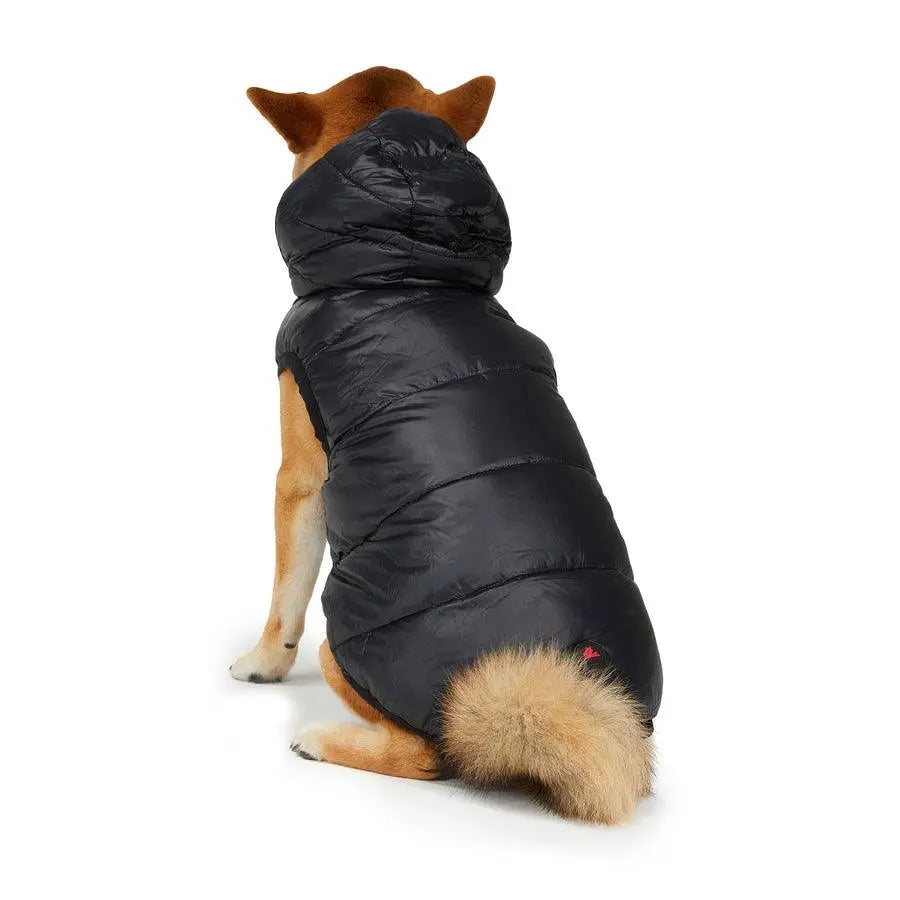 PAJAR - DUFF - Reversible Jacket & Hooded Coat For Dogs - PAWMART.ca