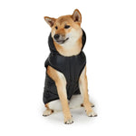 PAJAR - DUFF - Reversible Jacket & Hooded Coat For Dogs - PAWMART.ca