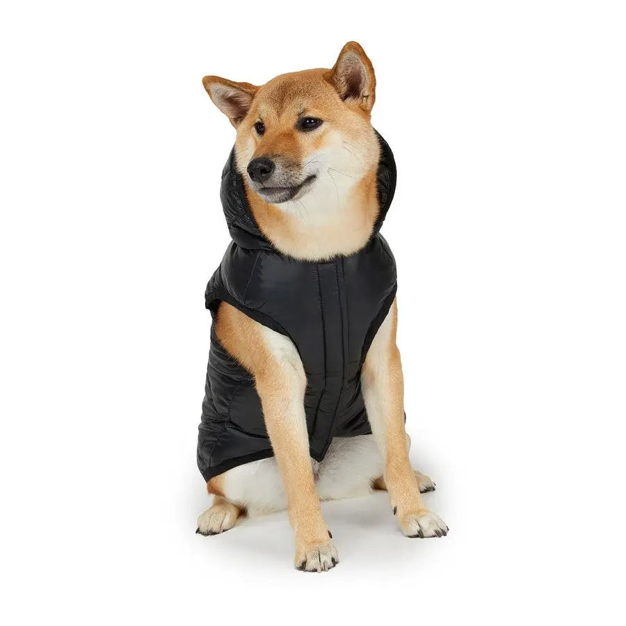 PAJAR - DUFF - Reversible Jacket & Hooded Coat For Dogs - PAWMART.ca