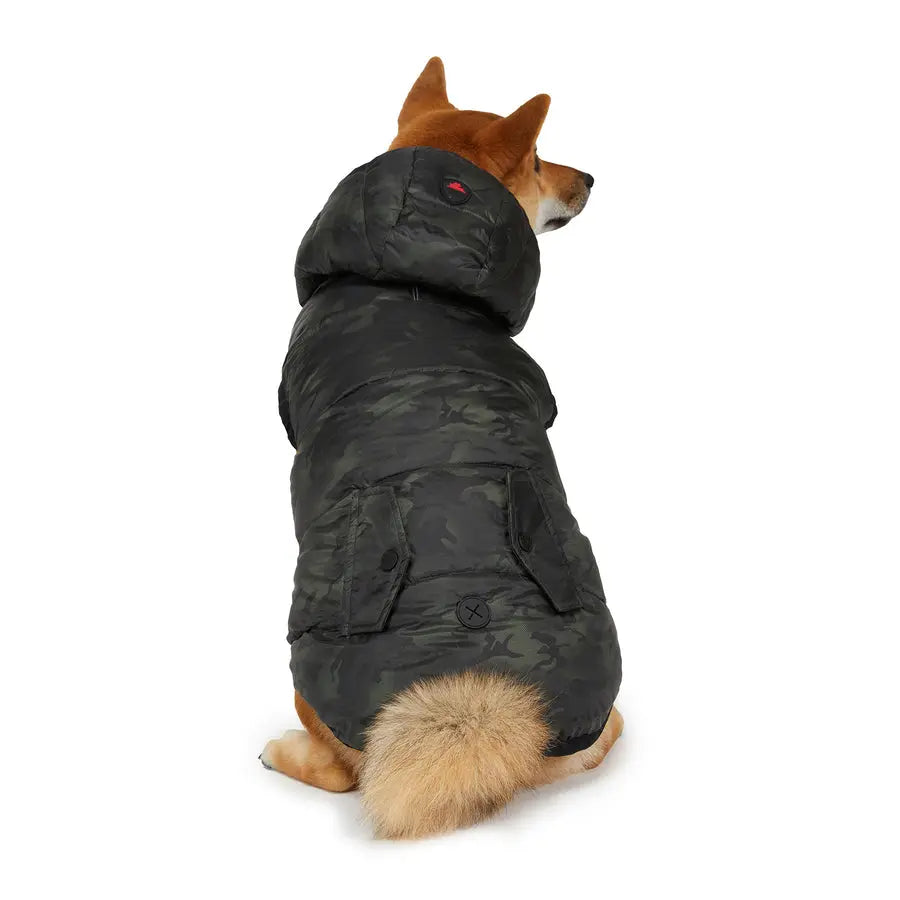 PAJAR - DUFF - Reversible Jacket & Hooded Coat For Dogs PAJAR