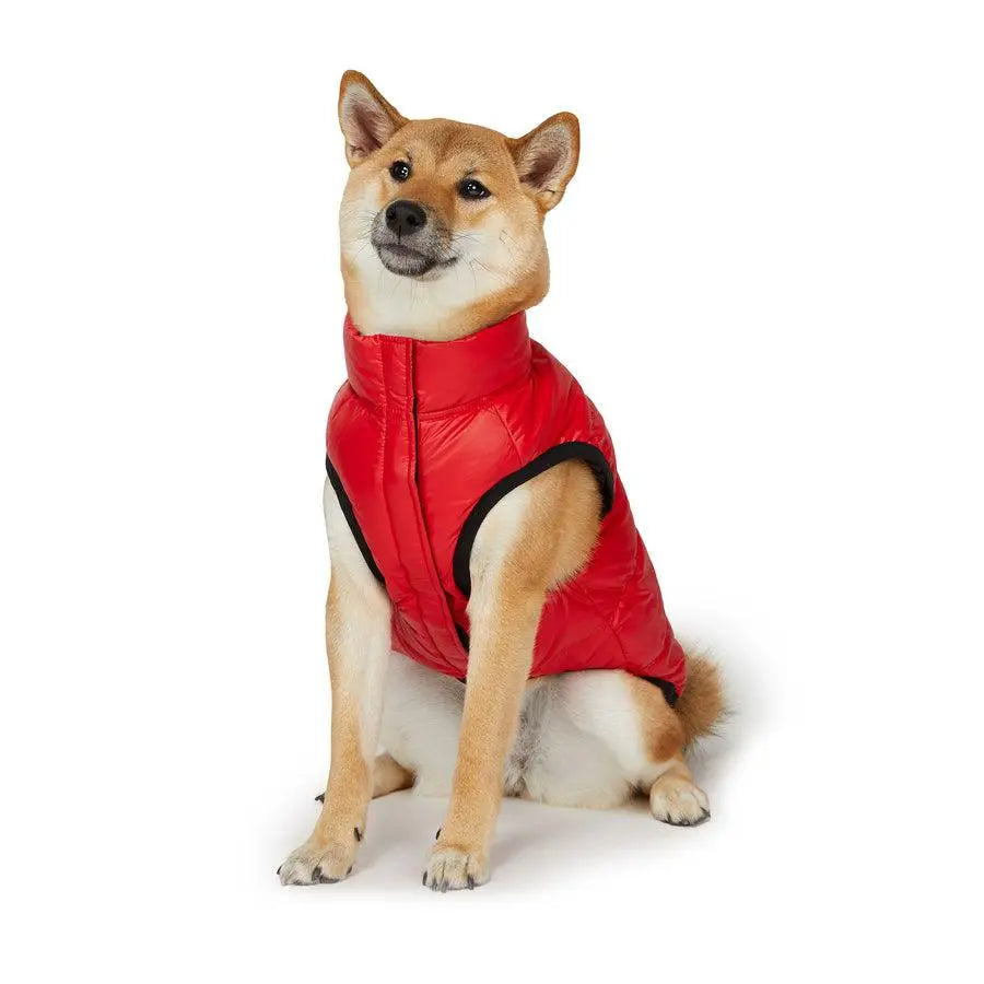 PAJAR - SKANA - Reversible Coat For Dogs with Collar - PAWMART.ca