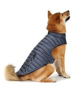 PAJAR - Spencer - Polyfill Channel Quilted Coat For Dogs - PAWMART.ca