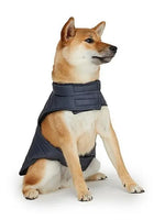 PAJAR - Spencer - Polyfill Channel Quilted Coat For Dogs - PAWMART.ca