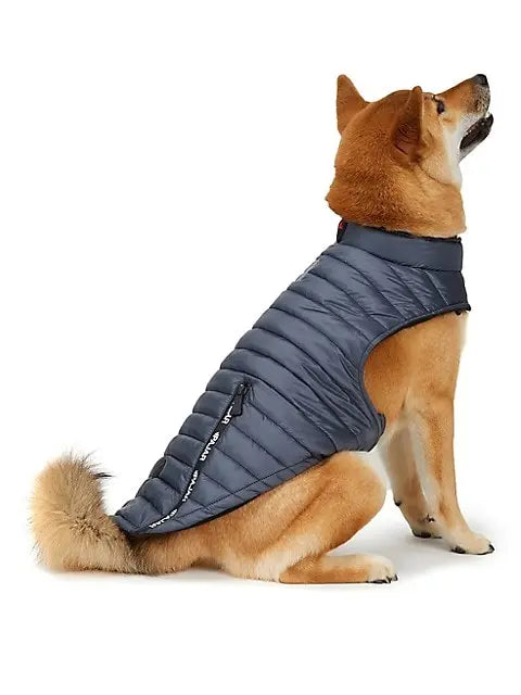 PAJAR - Spencer - Polyfill Channel Quilted Coat For Dogs PAJAR