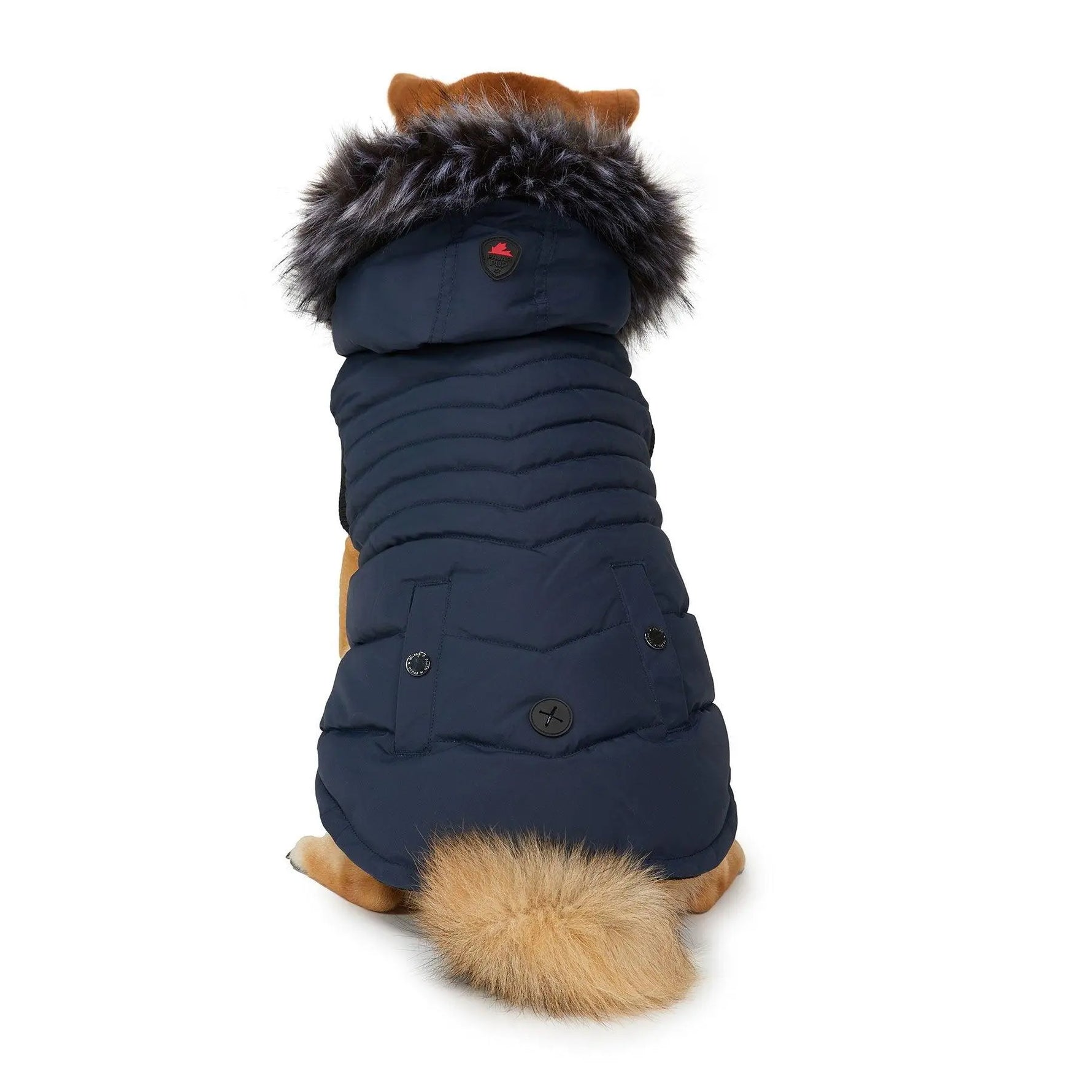 PAJAR - TOBY - Hooded Coat For Dogs - PAWMART.ca