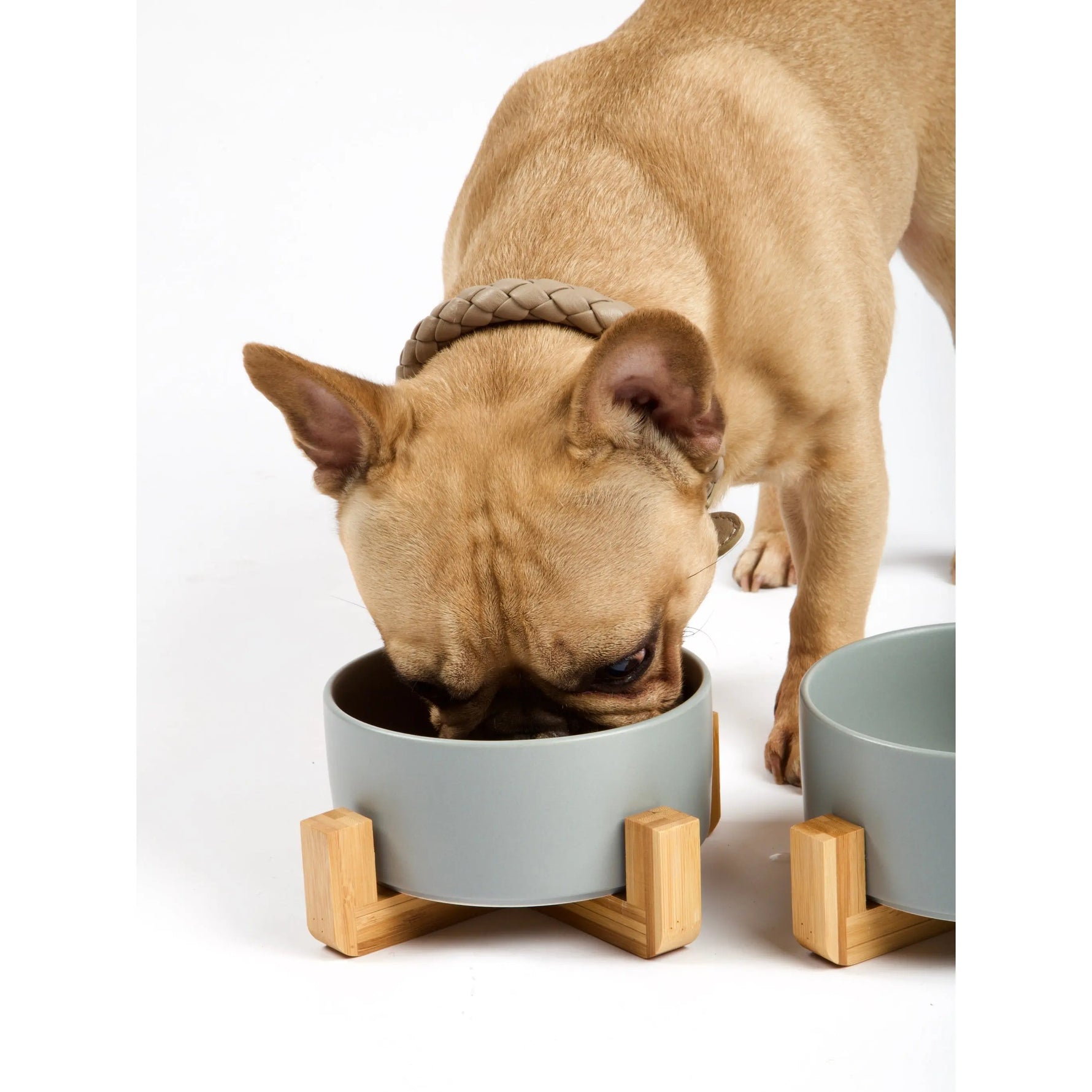 PAWMART - Dog Bowl with Wooden Stand PAWMART