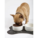 PAWMART - Dog Bowl with Wooden Stand - PAWMART.ca