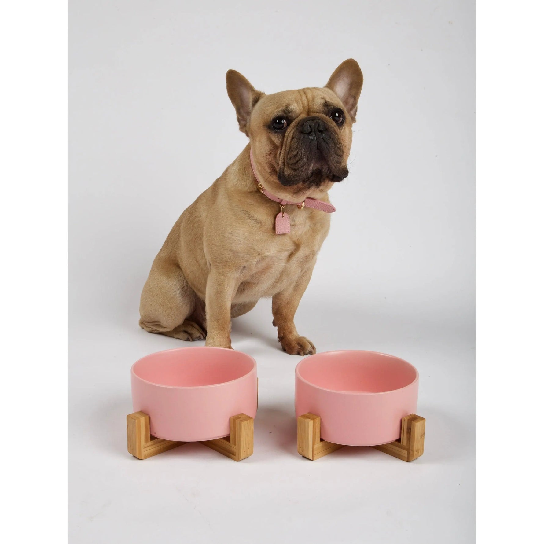 PAWMART - Dog Bowl with Wooden Stand - PAWMART.ca