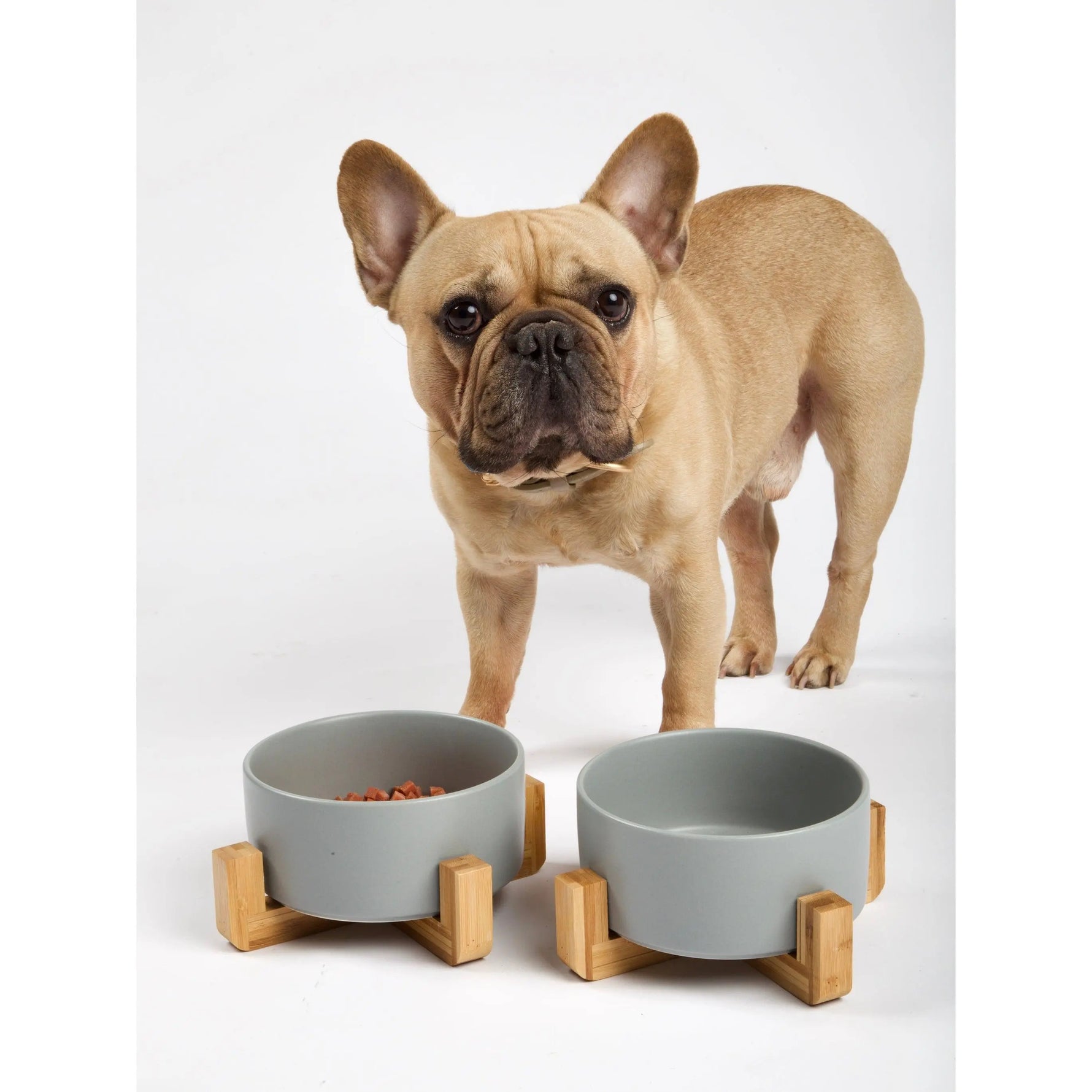 PAWMART - Dog Bowl with Wooden Stand - PAWMART.ca