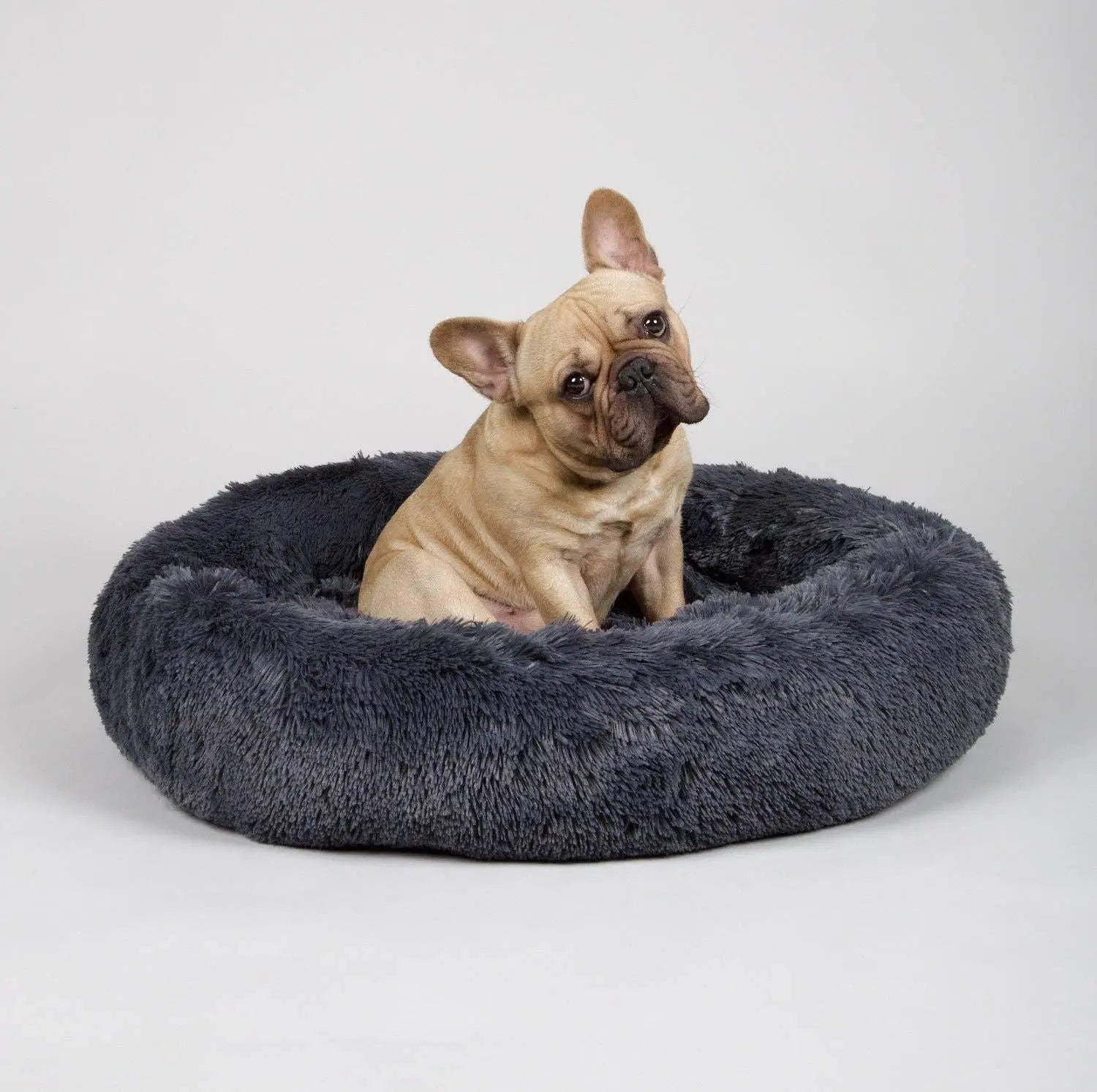 PAWMART - THE ORIGINAL - Donut Dog Bed - PAWMART.ca