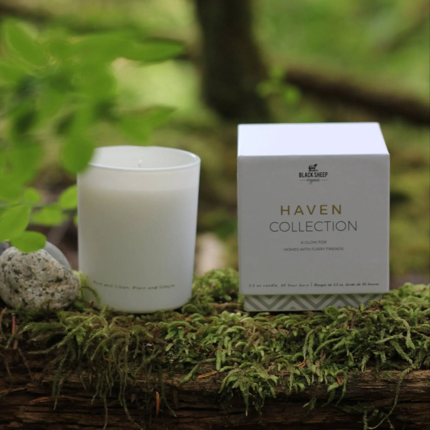 PET SAFE CANDLE - PEACH PARFAIT Black Sheep Organics