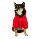 Pajar - Minto Hoodie for Dogs - Hoodie for Dogs and Cats PAJAR