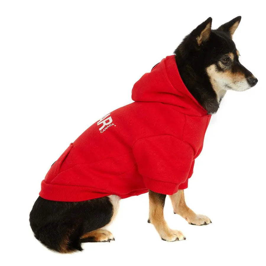 Pajar - Minto Hoodie for Dogs - Hoodie for Dogs and Cats - PAWMART.ca