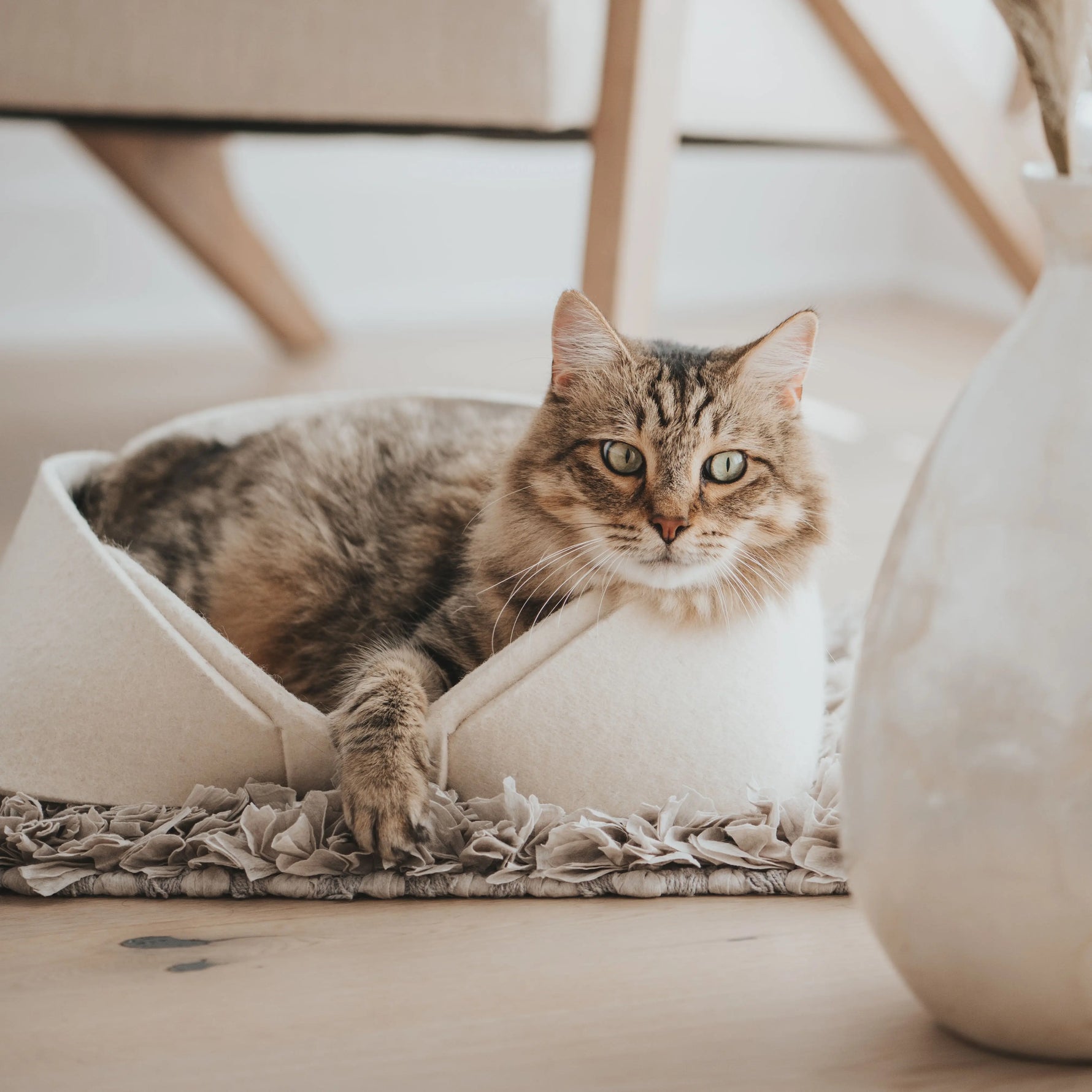 Panier pour animaux en feutre de laine 14x12  | MATT™ MATT Collective