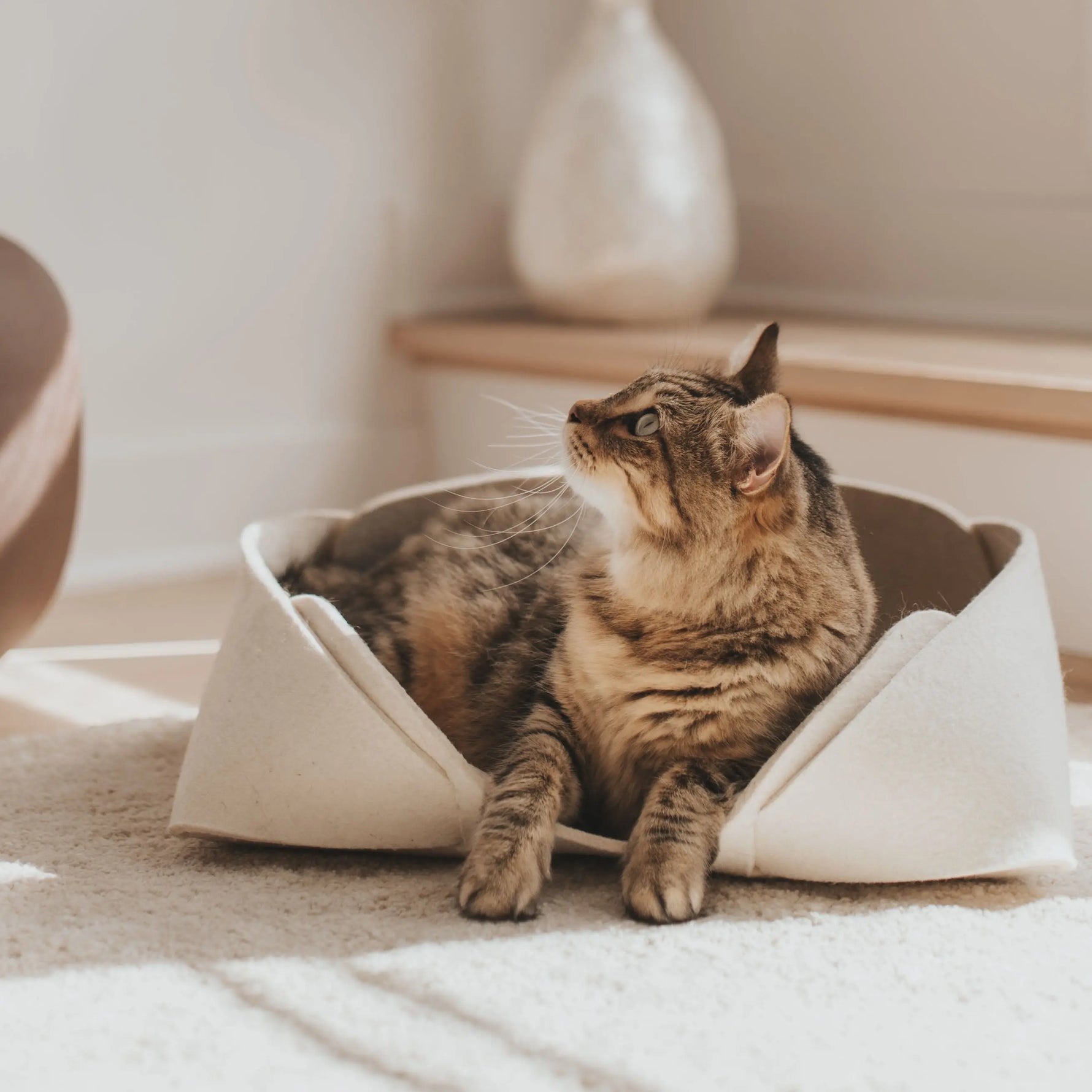 Panier pour animaux en feutre de laine 17x13  | MATT™ MATT Collective