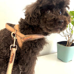 Peach real Leather One-Click Dog Harness Puccissimé Pet Couture