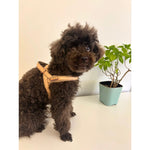 Peach real Leather One-Click Dog Harness Puccissimé Pet Couture