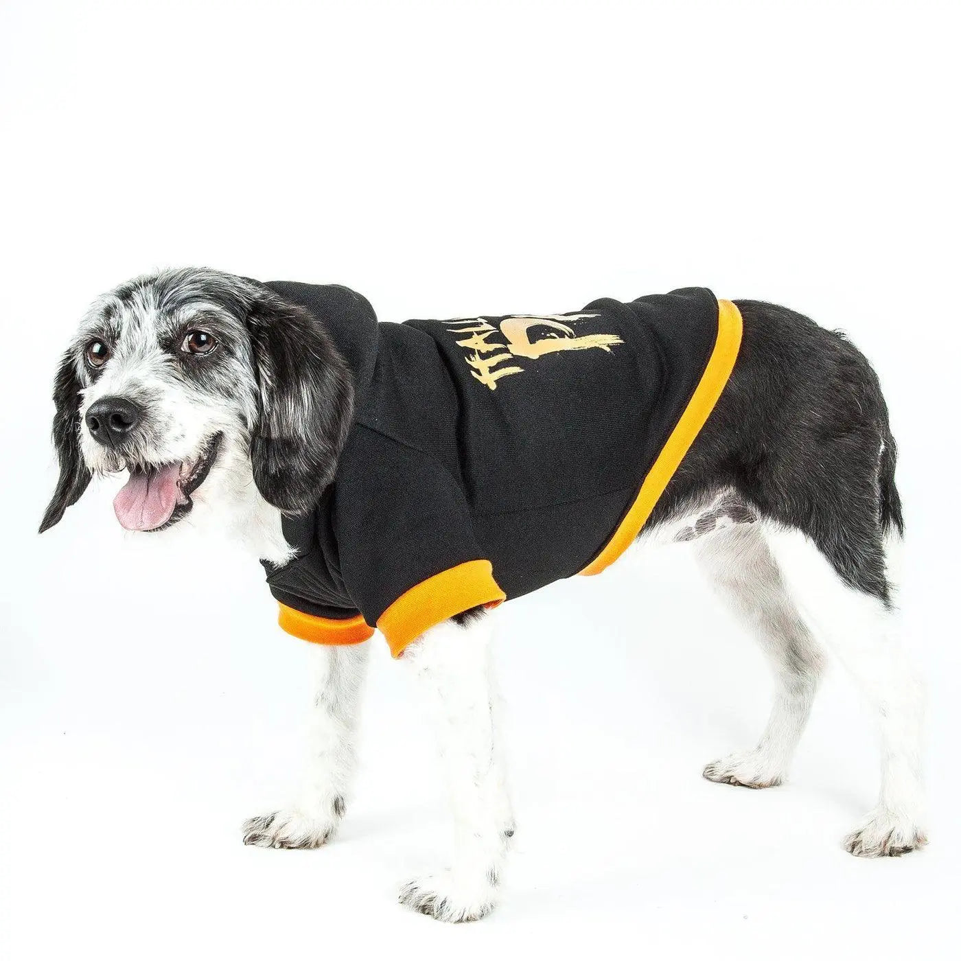 Pet Life - LED Lighting Halloween Party Hooded Sweater Costume - PAWMART.ca