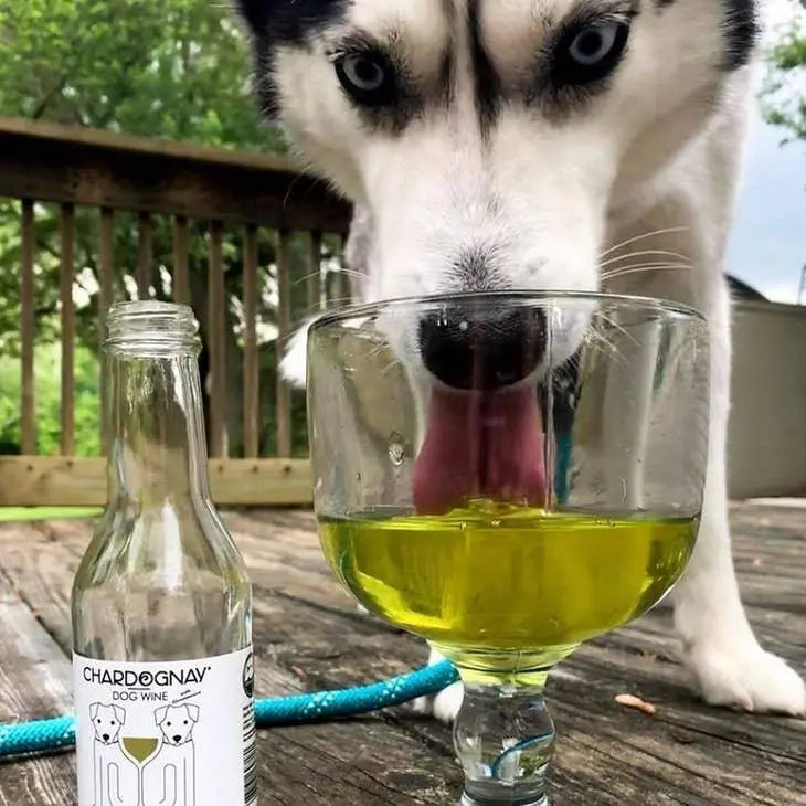 PetWineShop - CharDOGnay Salmon + Bone Health Dog Wine Liquid Supplement - Wine for Dogs - PAWMART.ca