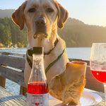 PetWineShop - Zinfantail Salmon + Bone Health Dog Wine Liquid Supplement  - Wine for Dogs PetWineShop