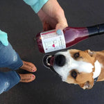 PetWineShop - Zinfantail Salmon + Bone Health Dog Wine Liquid Supplement  - Wine for Dogs - PAWMART.ca